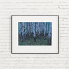Essex Birch Trees Limited Edition Giclée Print