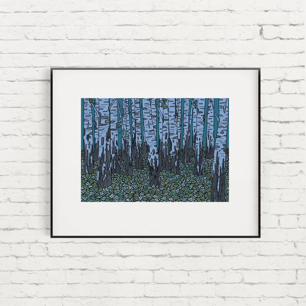 Essex Birch Trees Limited Edition Giclée Print