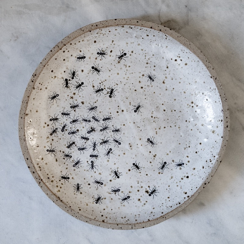Ant plate
